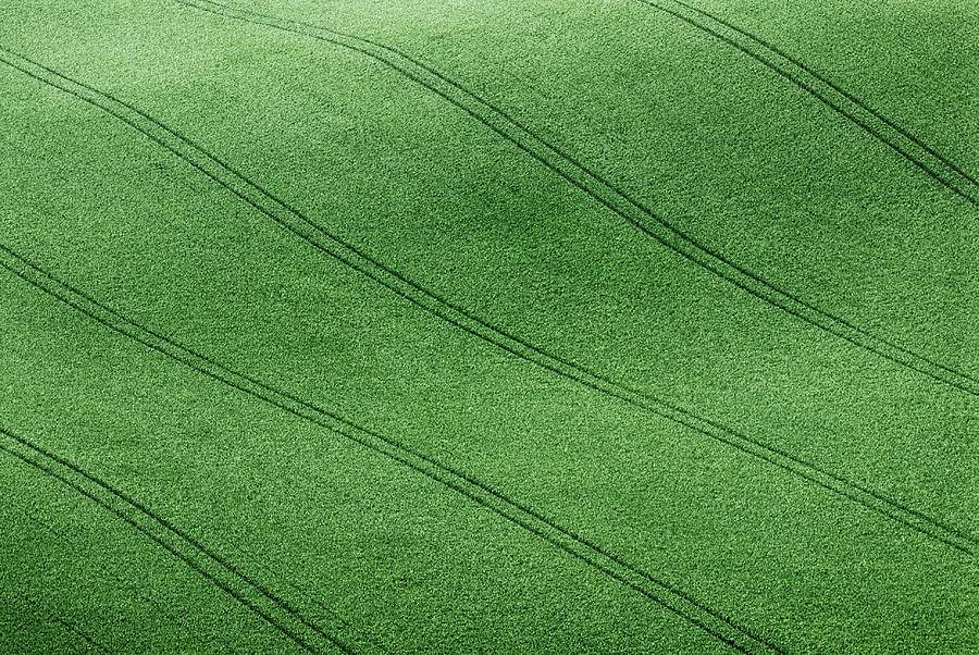Abstract Photograph - Field #6 by Clive Collie