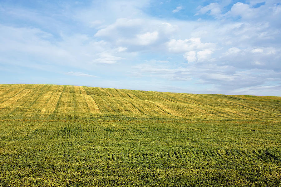 Field And Clouds Digital Art by Benjamin Rondel | Fine Art America