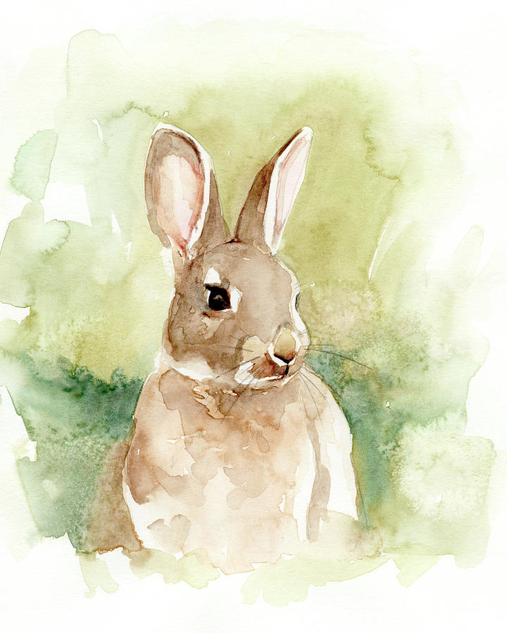 Field Bunny I Painting by Victoria Barnes - Fine Art America