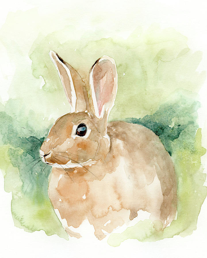 Field Bunny II Painting by Victoria Barnes - Fine Art America