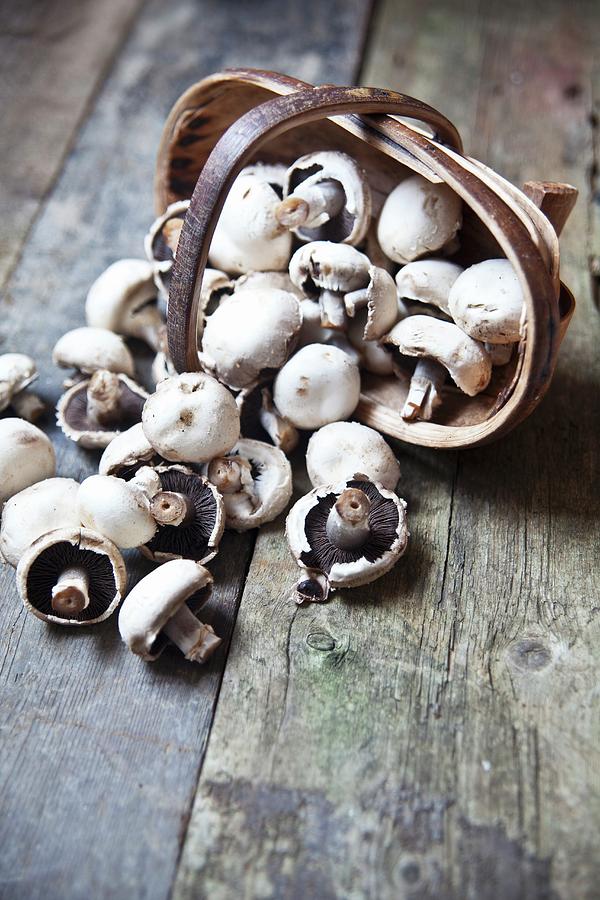 Field Mushrooms Falling Out Of A Wooden Basket Photograph by George Blomfield