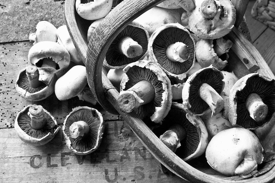 Field Mushrooms In A Wooden Basket black And White Image Photograph by George Blomfield