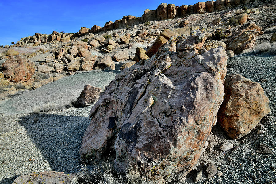 Field of Boulders on Red Point Photograph by Ray Mathis