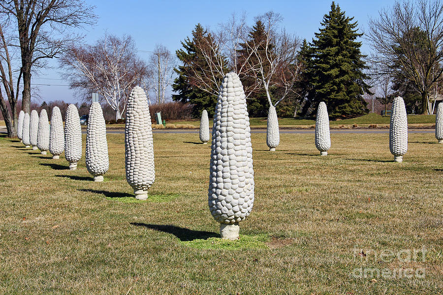 Field of Corn Sculpture 0922 Photograph by Jack Schultz