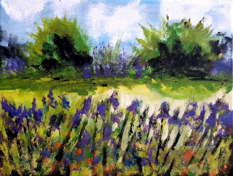 Field of Irises by Nikki Dalton Field of Irises by Nikki Dalton