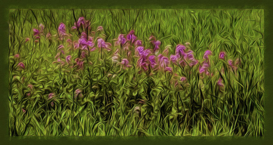 Field Of Purple Dreams Photograph by Leslie Montgomery