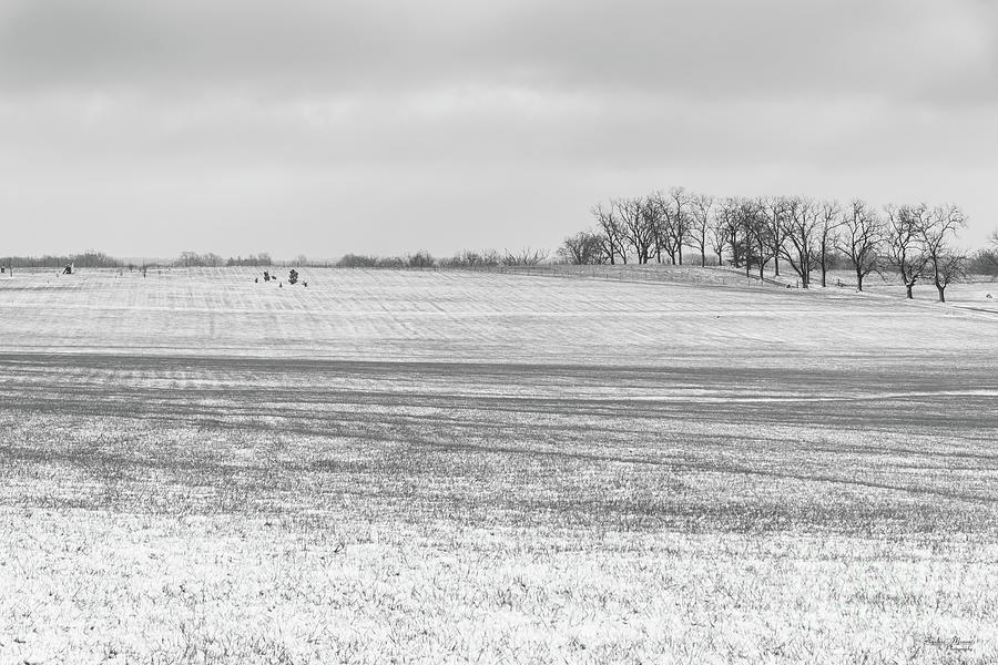 Field Of Snow Dust Grayscale Photograph by Jennifer White