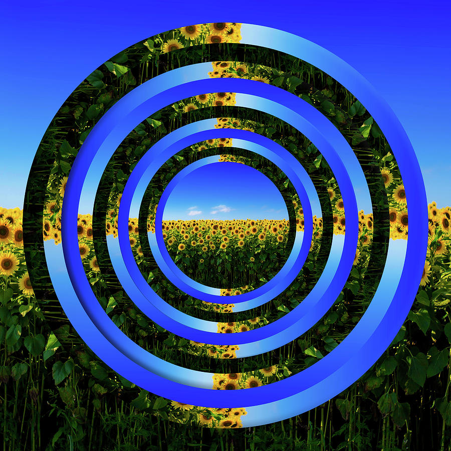 Field Of Sunflowers Circles Digital Art