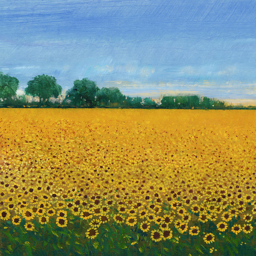 Field Of Sunflowers I by Tim Otoole