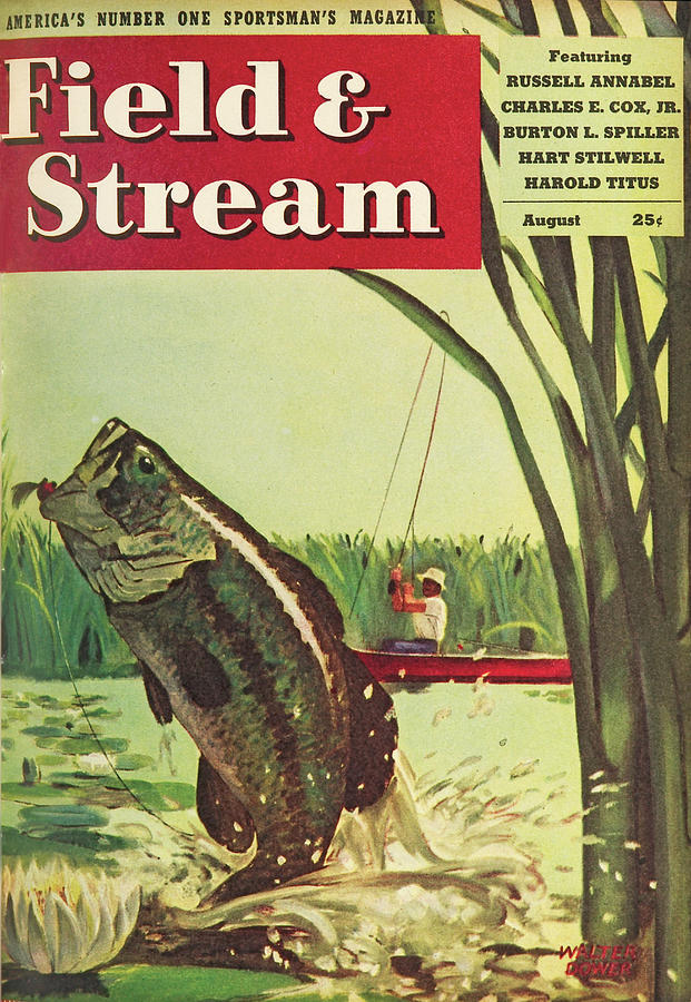 Field & Stream Magazine Cover August 1946 Painting by Field & Stream