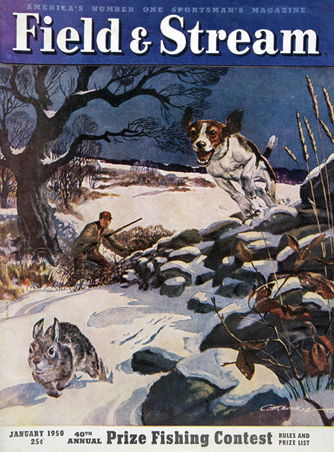 Field & Stream Magazine Cover January 1950 Painting by Field & Stream