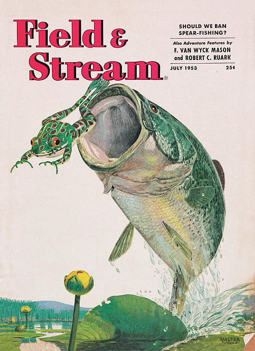 Field & Stream Magazine Cover July 1953 Painting by Field & Stream Field & Stream Magazine Cover July 1953 Painting by Field & Stream