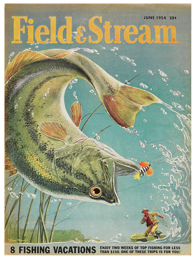 Field & Stream Magazine Cover June 1954 Painting by Field & Stream - Pixels