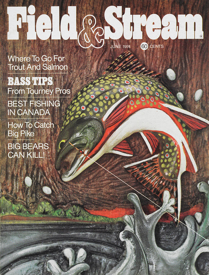 Field & Stream Magazine Cover June 1974 Painting by Field & Stream
