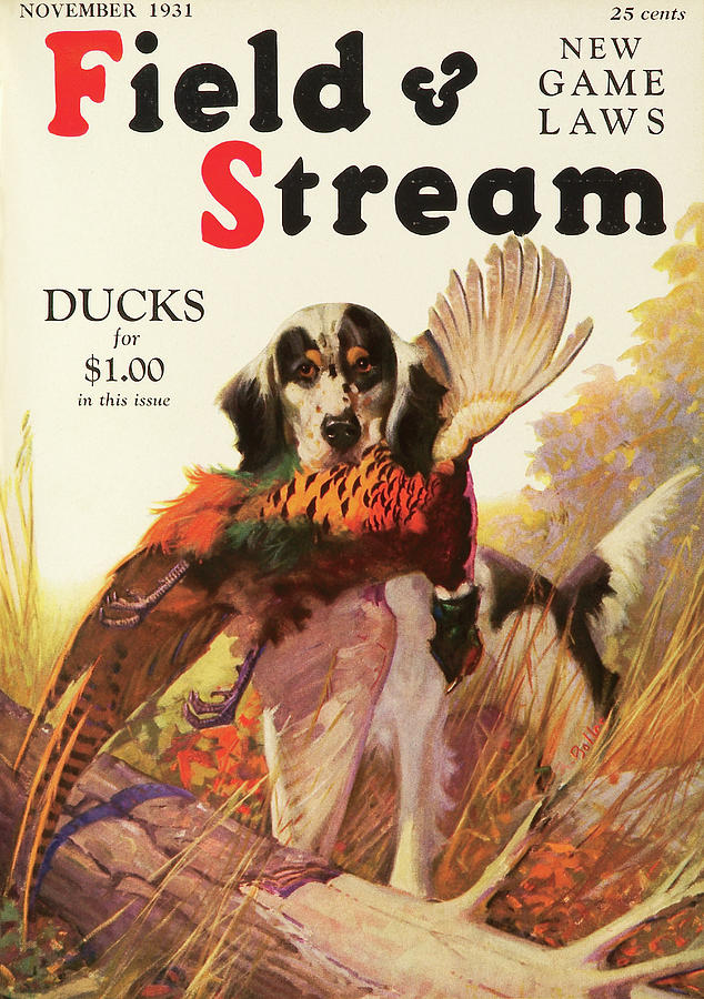 Dog Painting - Field & Stream Magazine Cover November 1931 by Field & Stream