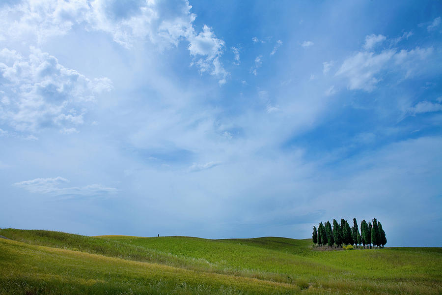 Nature Digital Art - Field With Group Of Cypress Trees, Val Dorcia, Siena, Tuscany, Italy by Walter Zerla