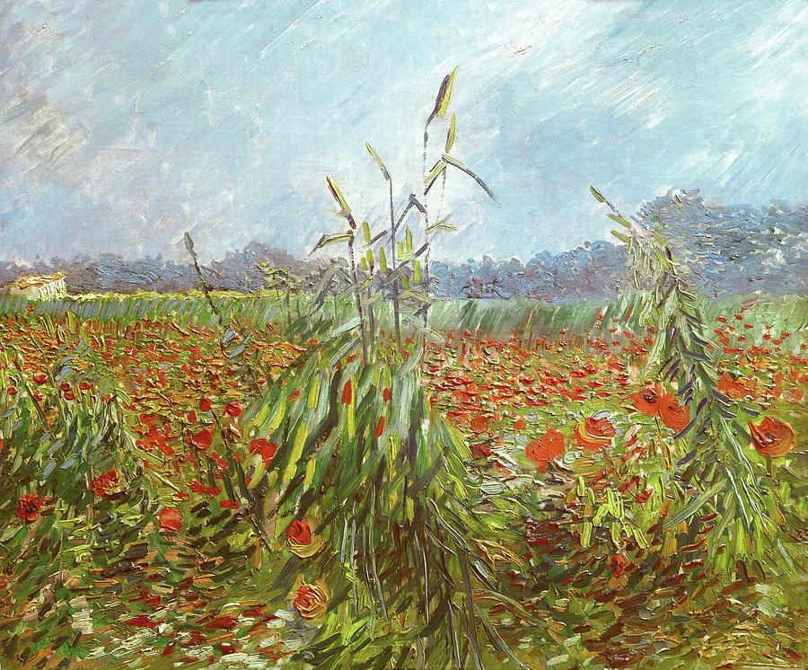 Field with poppies. Oil on canvas. Painting by Vincent van Gogh -1853-1890-