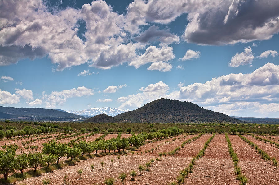 Fields and mountains in Andalusia by Tatiana Travelways Fields and mountains in Andalusia by Tatiana Travelways