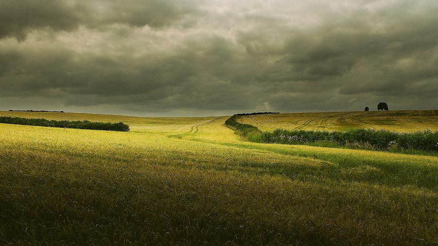Fields In Gloucestershire Photograph by A Goncalves