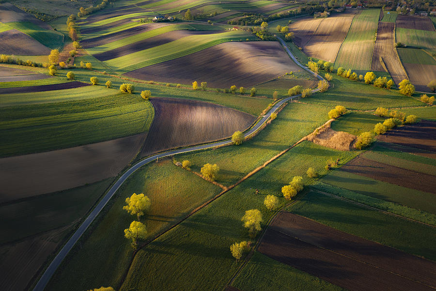Landscape Photograph - Fields by Karol Nienartowicz