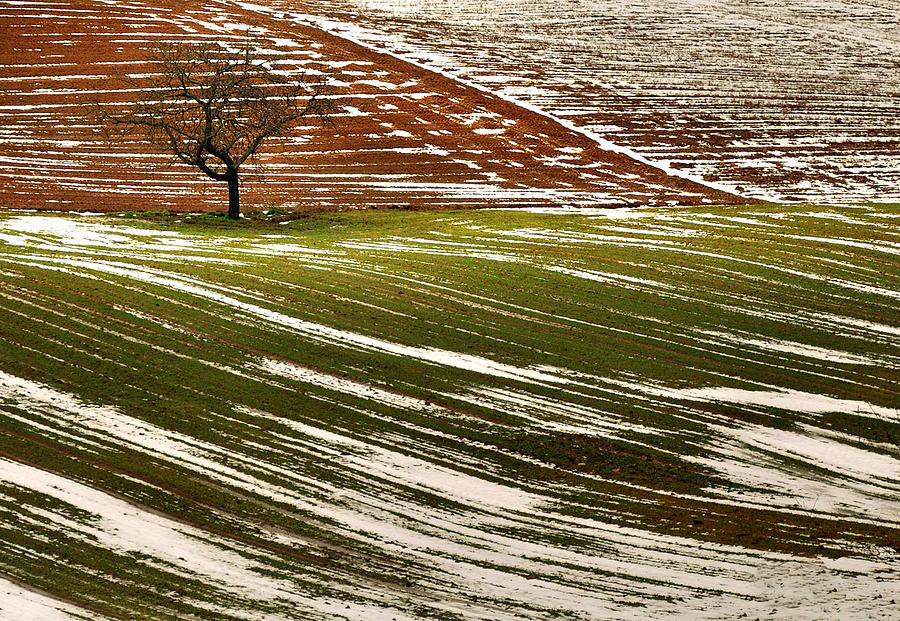 Fields Of Snow Photograph by Photographer Chris Archinet