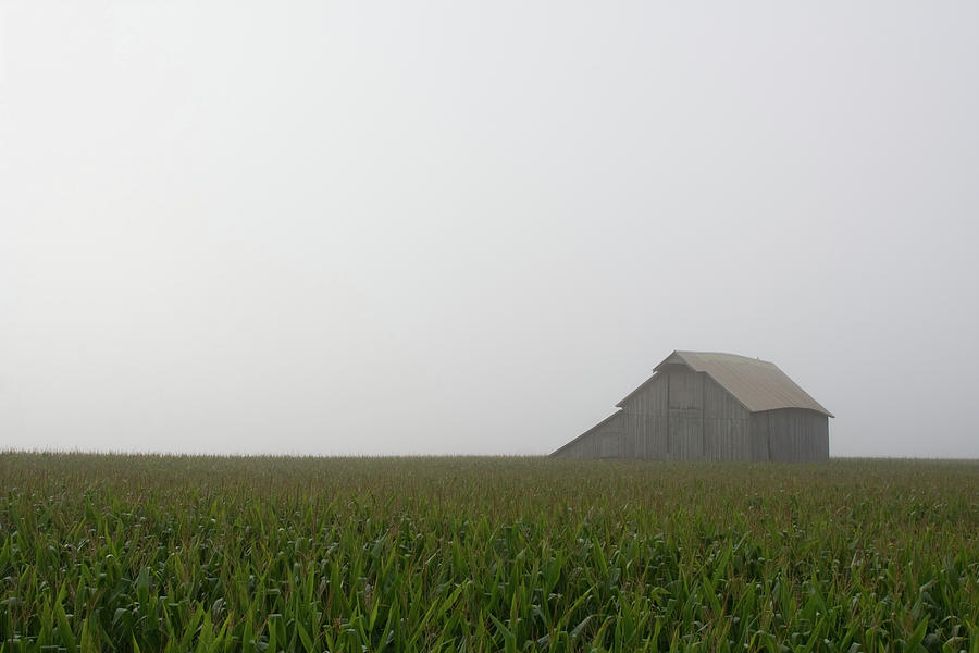 Fieldview Fog Burn by Dylan Punke Fieldview Fog Burn by Dylan Punke