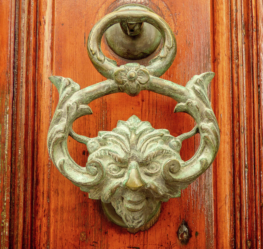 Fierce Door Knocker Photograph by Lisa Crawford - Fine Art America