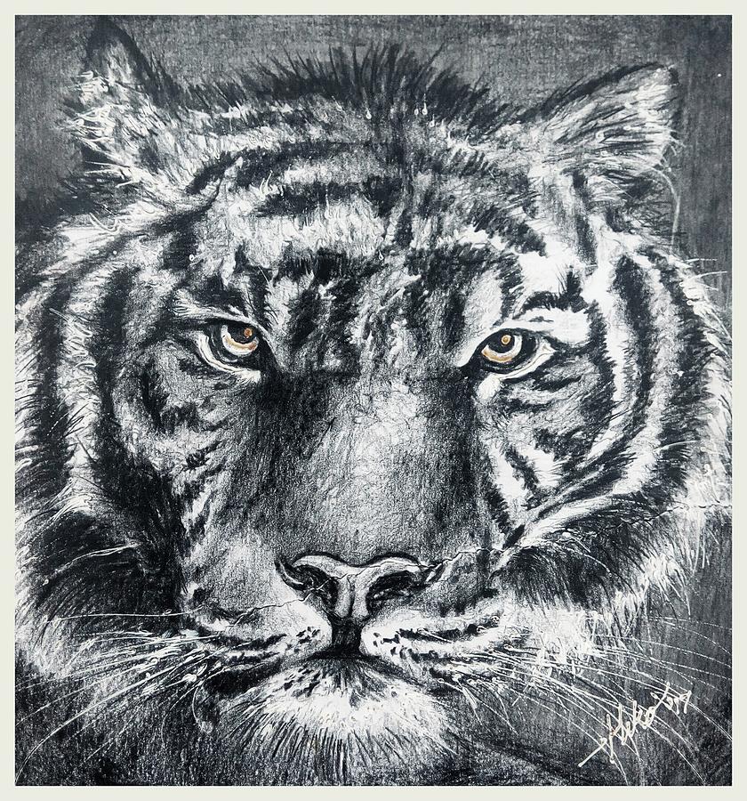 Fierce stare Drawing by Blessing Ome - Fine Art America