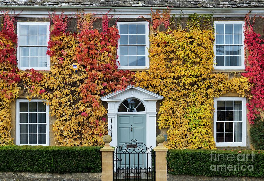 Fiery Autumn Foliage in the Cotswolds Photograph by Tim Gainey