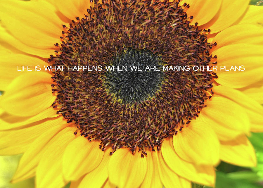 FIERY BLOOM quote Photograph by JAMART Photography