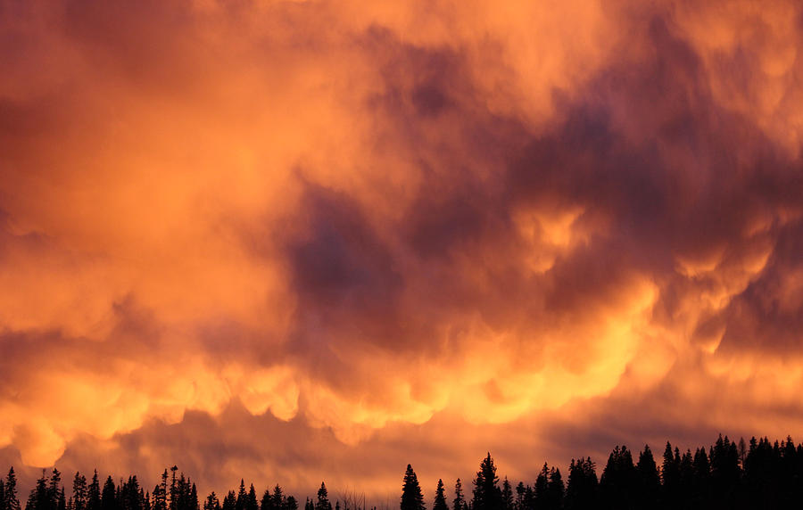 Fiery clouds Photograph by Jean Evans