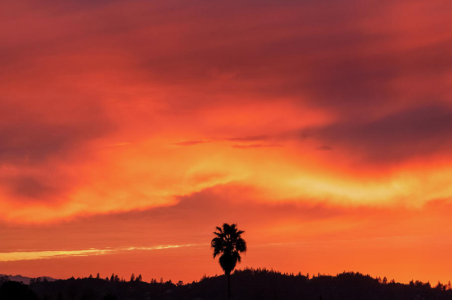 Fiery Skies Photograph by Shelby Erickson