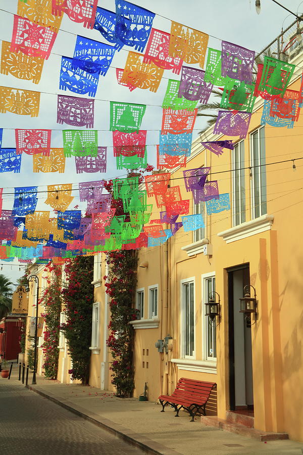 Fiesta Flags in San Jose Del Cabo Photograph by Roupen Baker