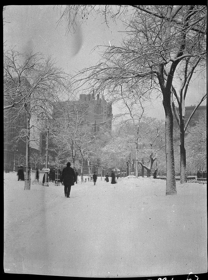 Fifth Avenue And 25th Street Photograph by The New York Historical Society