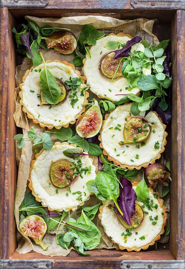 Fig Tartlets With Goasts Cheese For A Picnic Photograph by Great Stock!