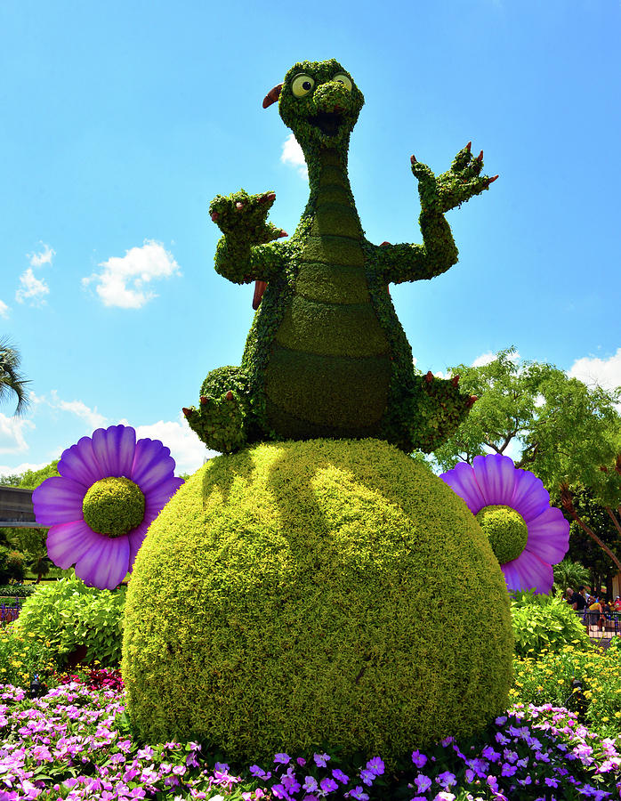 Figment and flowers Photograph by David Lee Thompson