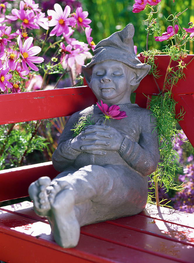 Figure dozy On Red Bench Photograph by Friedrich Strauss