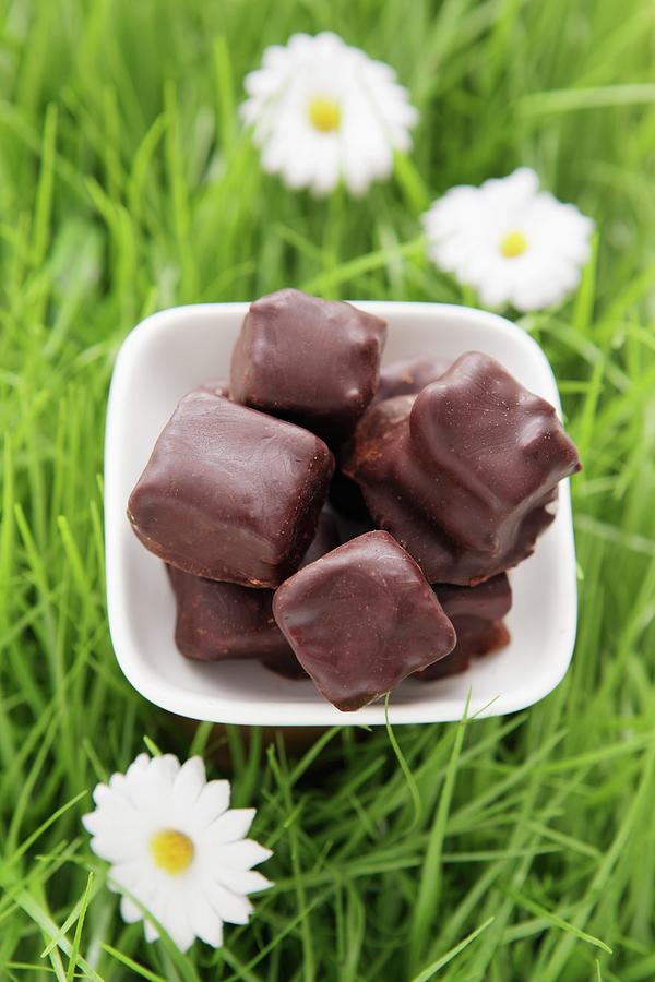 Filled Chocolates On Artificial Grass Photograph by Foodografix