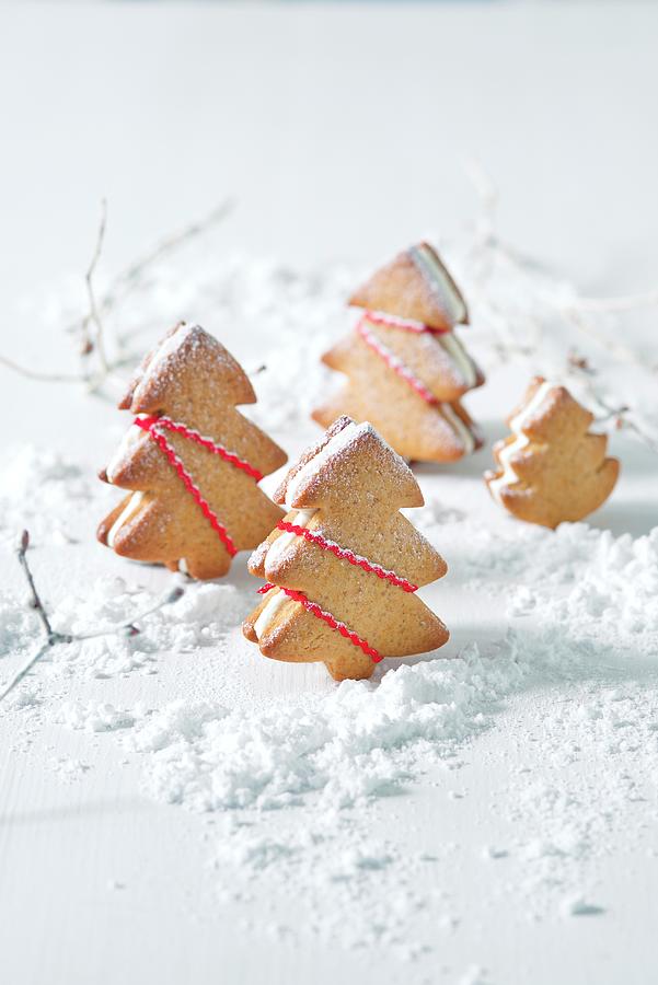 Filled Gingerbread Tree Biscuits Photograph by Alena Hrbkov