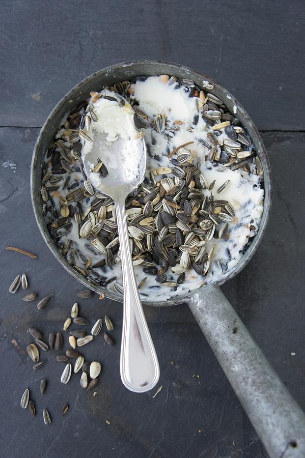 Filling A Small Vintage Saucepan With Coconut Oil And Bird Food Photograph by Martina Schindler
