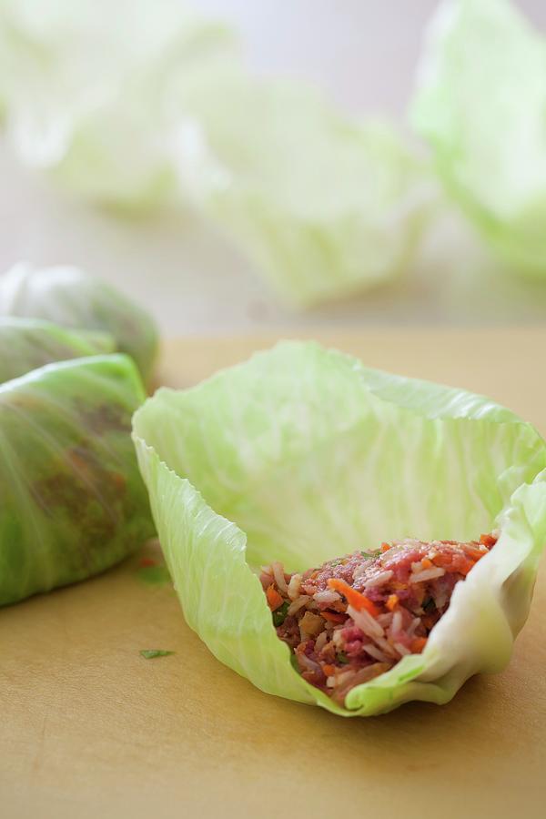 Filling Cabbage Leaves To Make Stuffed Cabbage Photograph by Yelena Strokin