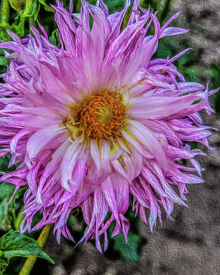 facemask Filoli pink swirl Photograph