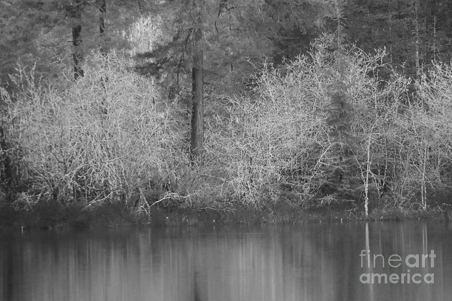 Filter Series 200B by Jeni Gray Filter Series 200B by Jeni Gray