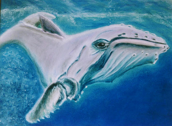 Fin Whale Pastel by Sharon Tackett - Fine Art America