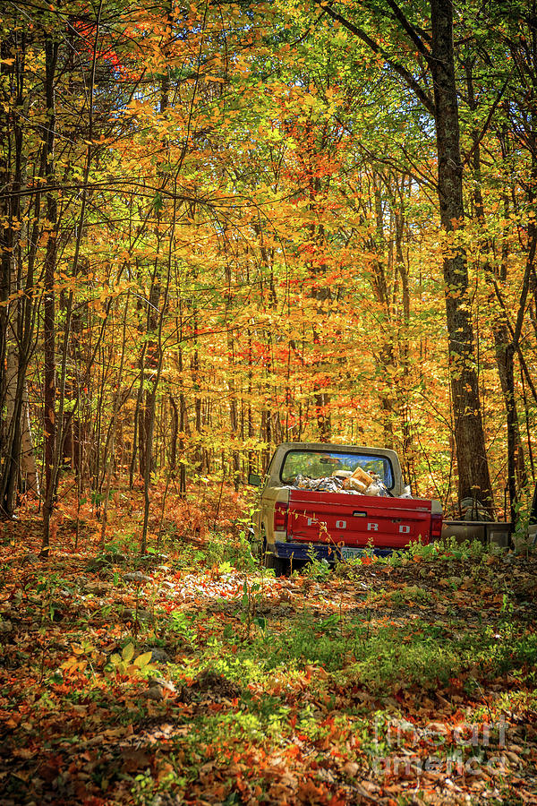 Final Resting Place - Old Ford in the Forest Photograph by Edward Fielding