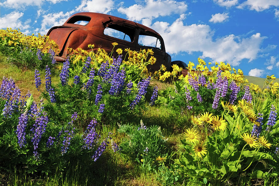 Final Resting Place by Patrick Campbell Final Resting Place by Patrick Campbell