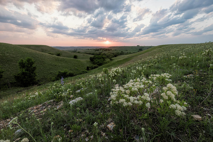 Finally, Spring by Scott Bean Finally, Spring by Scott Bean