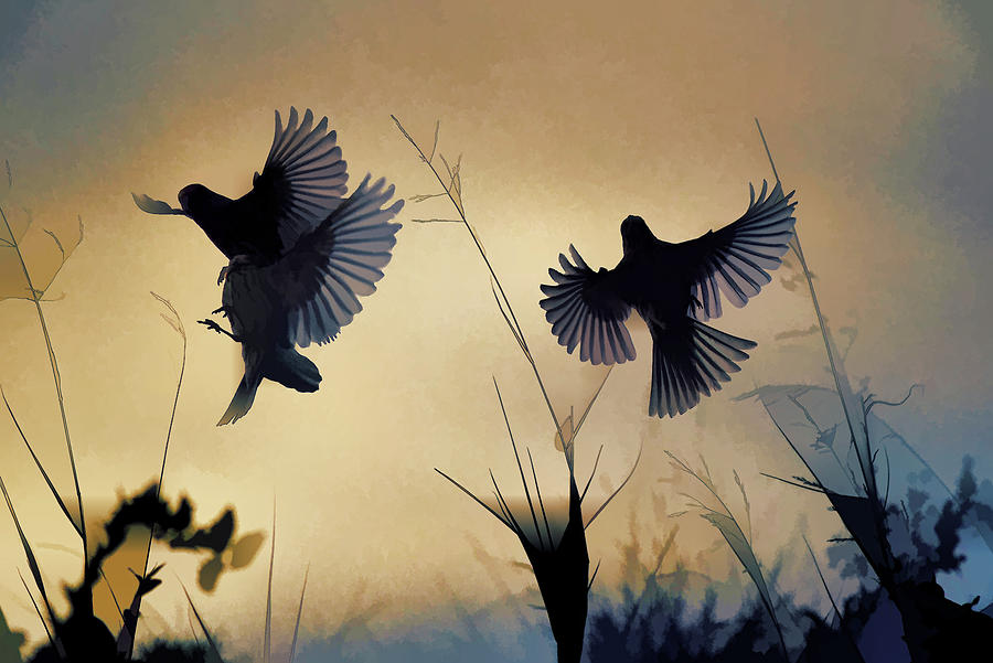 Finches Silhouette With Leaves 6 Abstract Digital Art