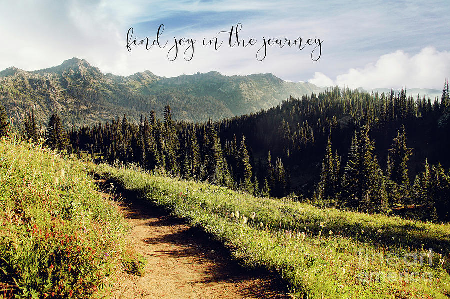 Find Joy In The Journey Photograph by Sylvia Cook