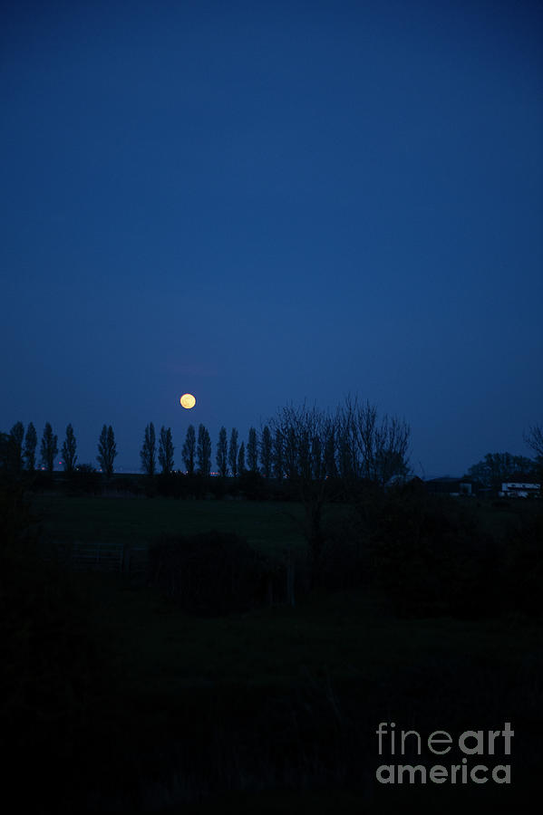 Fine Art Moon photo 21 by Jenny Potter Fine Art Moon photo 21 by Jenny Potter